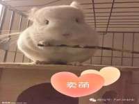 石家庄立策信息科技有限公司