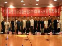 石家庄立策信息科技有限公司
