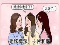 石家庄立策信息科技有限公司