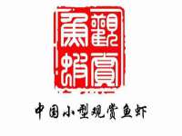 石家庄立策信息科技有限公司