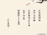 石家庄立策信息科技有限公司