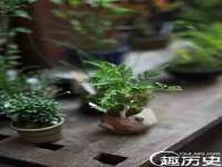 石家庄立策信息科技有限公司