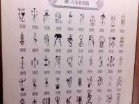 石家庄立策信息科技有限公司