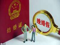 石家庄立策信息科技有限公司