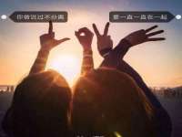 石家庄立策信息科技有限公司