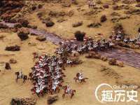 石家庄立策信息科技有限公司