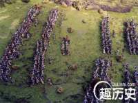 石家庄立策信息科技有限公司