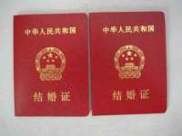 石家庄立策信息科技有限公司