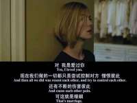 石家庄立策信息科技有限公司