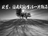 石家庄立策信息科技有限公司