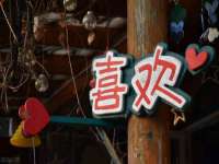 石家庄立策信息科技有限公司