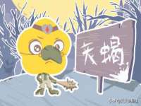 石家庄立策信息科技有限公司