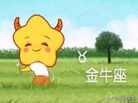 石家庄立策信息科技有限公司