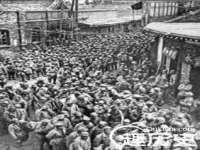 石家庄立策信息科技有限公司