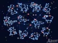 石家庄立策信息科技有限公司