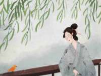 石家庄立策信息科技有限公司