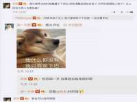 石家庄立策信息科技有限公司