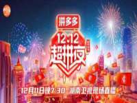 石家庄立策信息科技有限公司