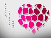 石家庄立策信息科技有限公司