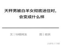 石家庄立策信息科技有限公司