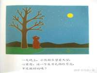 石家庄立策信息科技有限公司