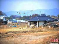 石家庄立策信息科技有限公司