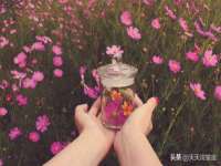 石家庄立策信息科技有限公司