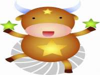 石家庄立策信息科技有限公司