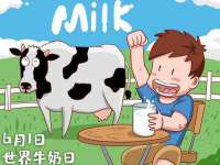 石家庄立策信息科技有限公司