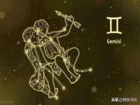 石家庄立策信息科技有限公司