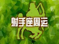 石家庄立策信息科技有限公司
