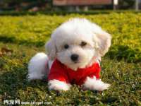 石家庄立策信息科技有限公司