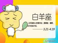 石家庄立策信息科技有限公司