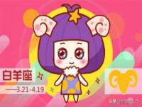 石家庄立策信息科技有限公司