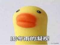 石家庄立策信息科技有限公司