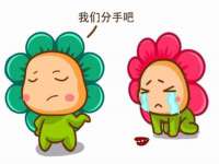 石家庄立策信息科技有限公司