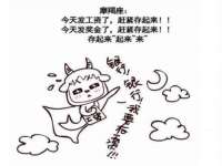 石家庄立策信息科技有限公司