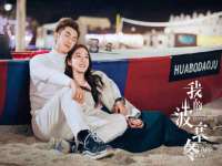 石家庄立策信息科技有限公司