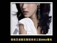 石家庄立策信息科技有限公司
