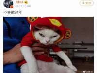 石家庄立策信息科技有限公司
