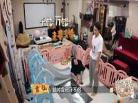 石家庄立策信息科技有限公司