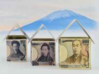 石家庄立策信息科技有限公司