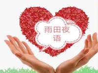 石家庄立策信息科技有限公司