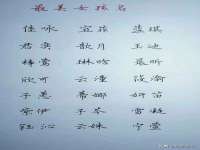 石家庄立策信息科技有限公司