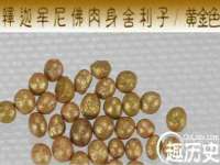 石家庄立策信息科技有限公司