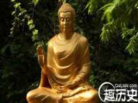 石家庄立策信息科技有限公司