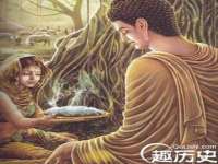 石家庄立策信息科技有限公司