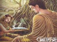 石家庄立策信息科技有限公司