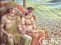 石家庄立策信息科技有限公司